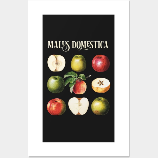 Vintage Apples Wall Art by marina63